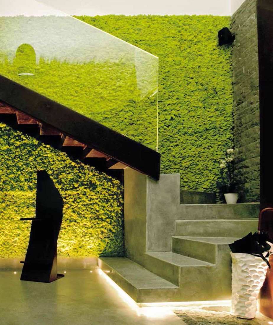 Benetti Moss: Design, natura & benessere BENETTI MOSS WALL