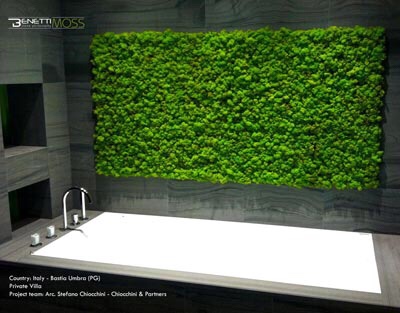 Benetti Moss: Design, natura & benessere BENETTI MOSS WALL